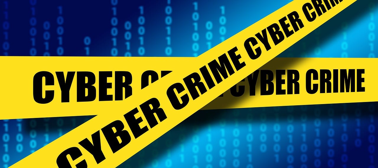 cyber crime and cybercriminal threat behavior