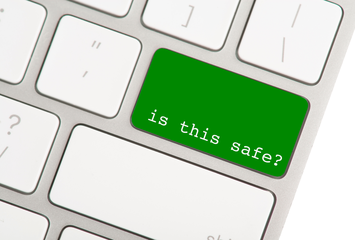 curiosity killed the cat